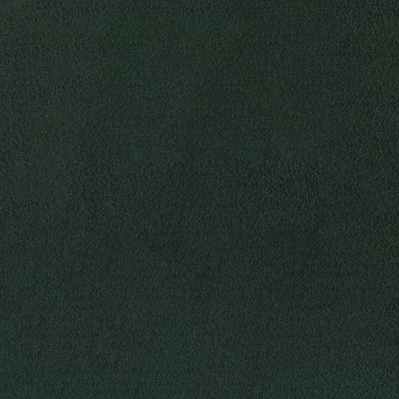 ã¢ã«ã«ã³ã¿ãŒã©