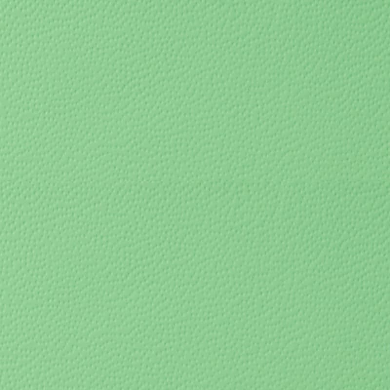 イタリア製レザー — Aequus Green