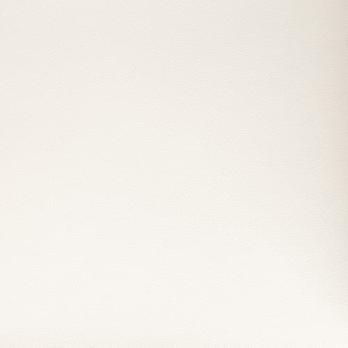 合成皮革 — カラー 5041