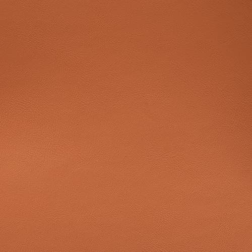 合成皮革 — カラー 9748